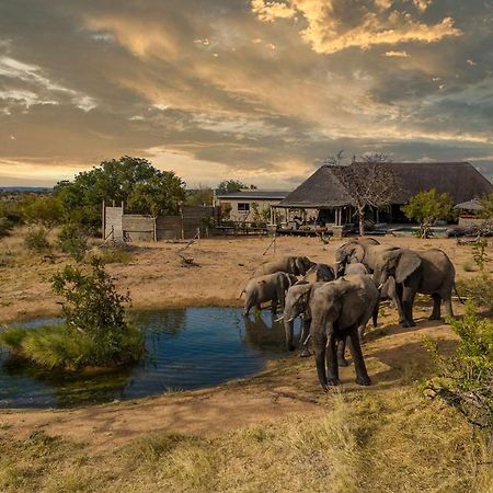 Imagine Africa Luxury Tented Camp Villa Balule Game Reserve Exterior photo