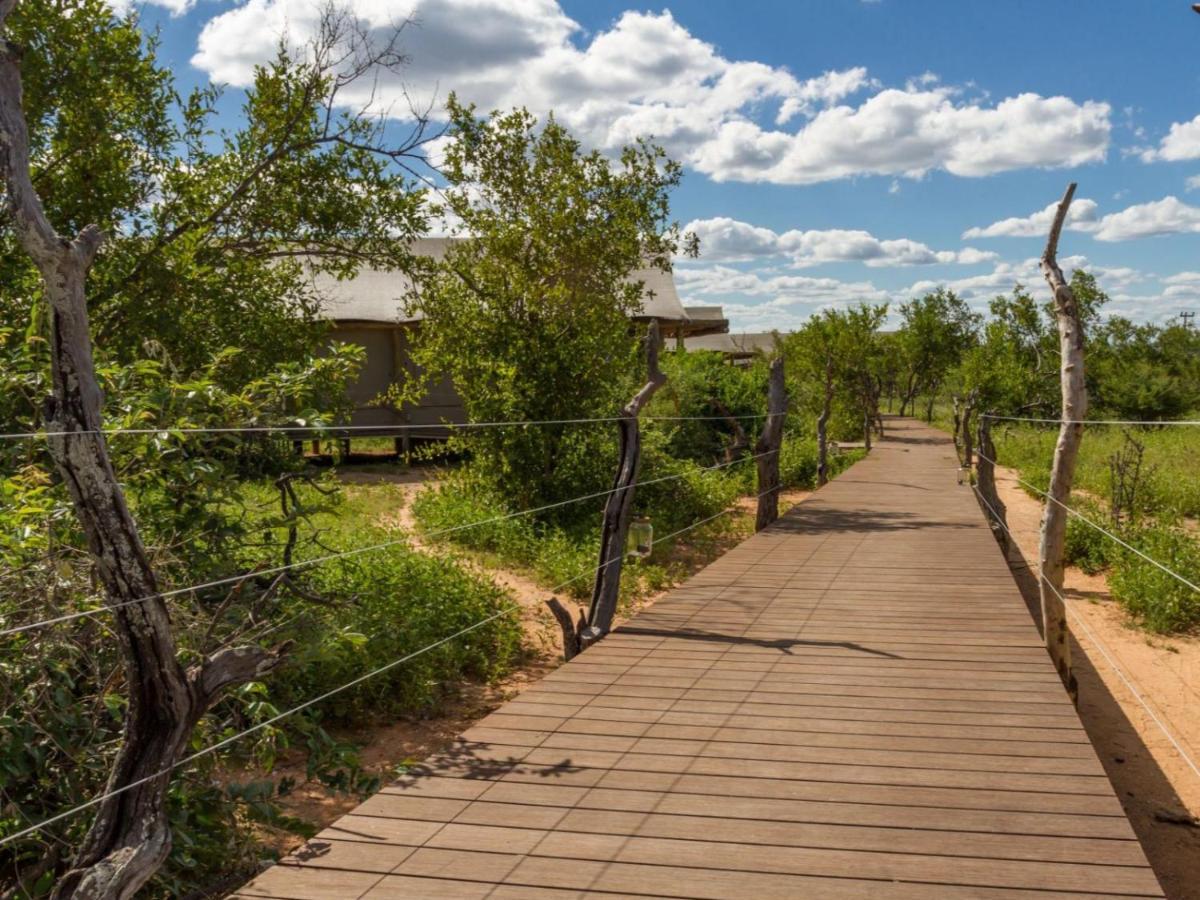 Imagine Africa Luxury Tented Camp Villa Balule Game Reserve Exterior photo