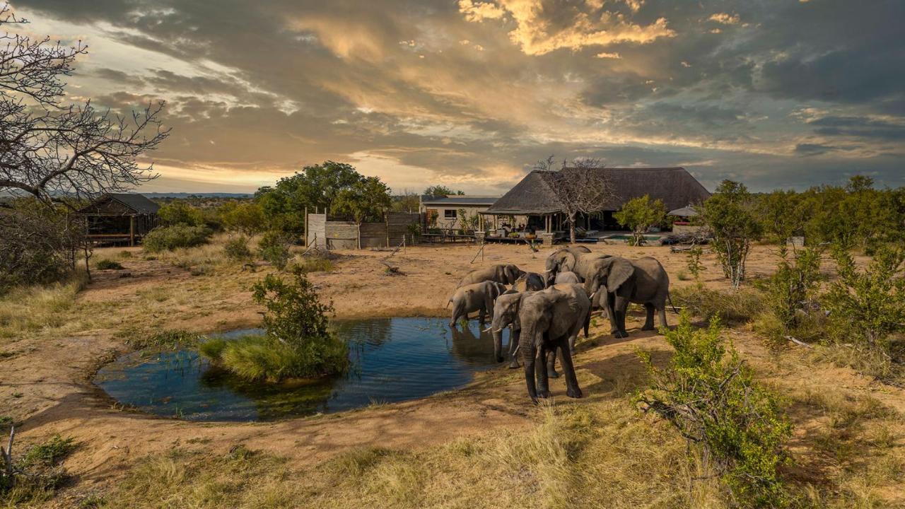 Imagine Africa Luxury Tented Camp Villa Balule Game Reserve Exterior photo