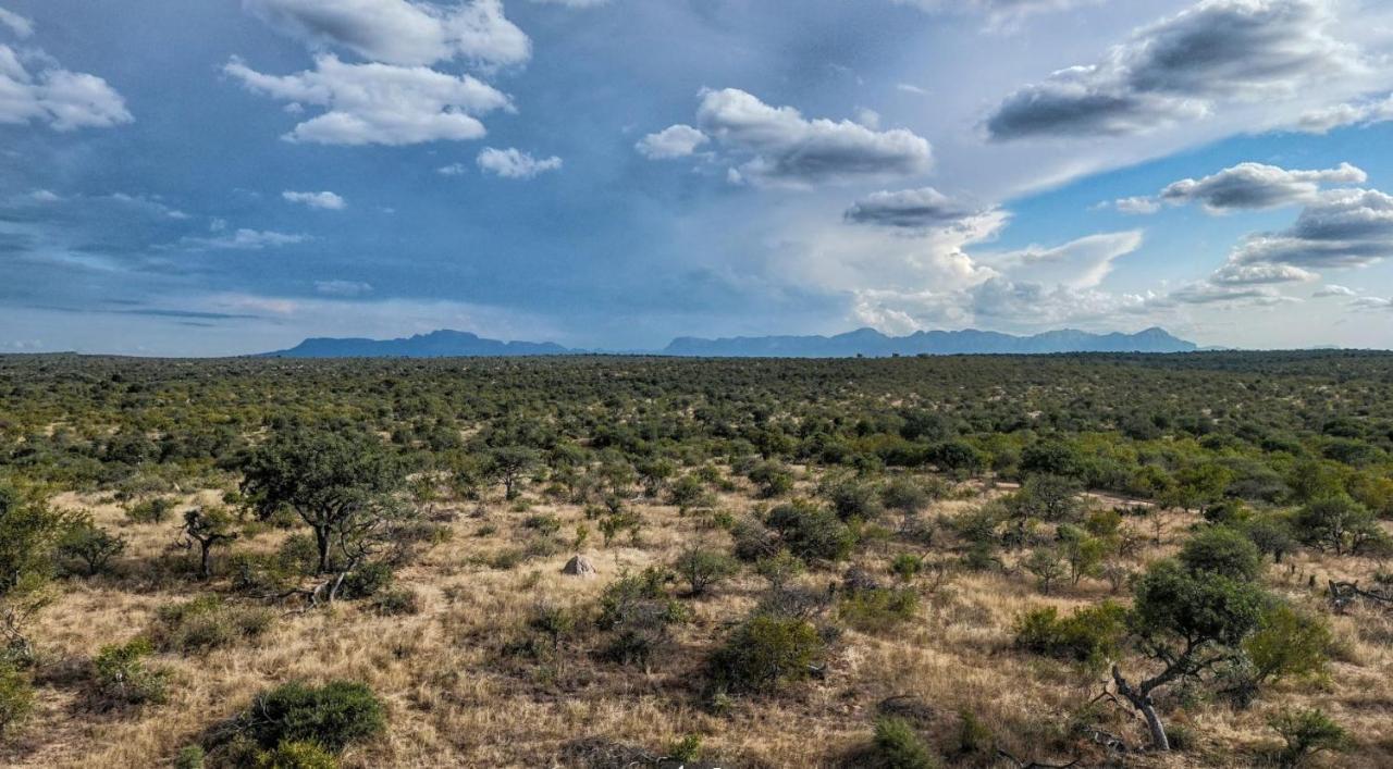 Imagine Africa Luxury Tented Camp Villa Balule Game Reserve Exterior photo