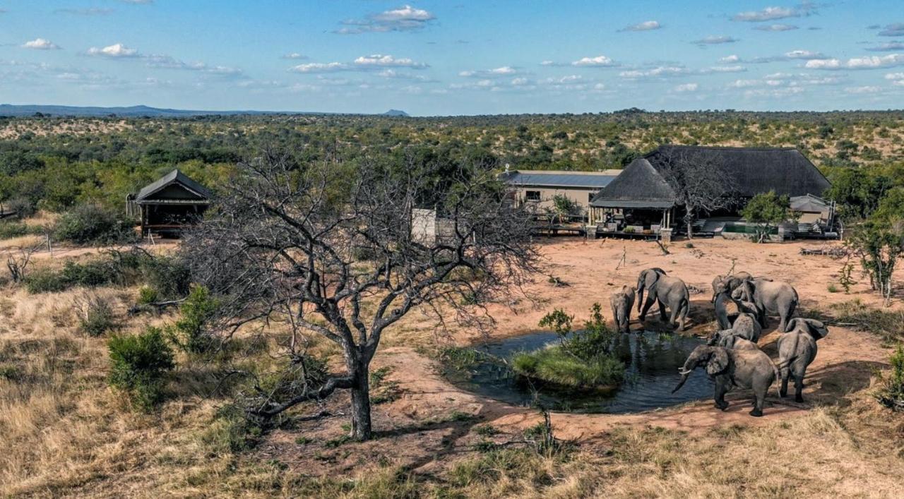 Imagine Africa Luxury Tented Camp Villa Balule Game Reserve Exterior photo