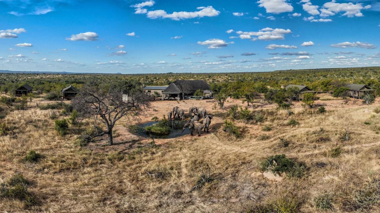 Imagine Africa Luxury Tented Camp Balule Game Reserve Exterior photo